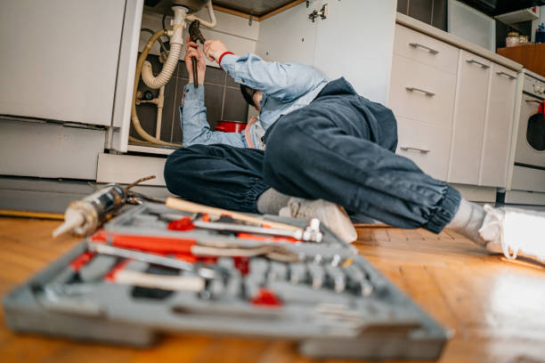 Best Local Plumber Services  in Santa Clara, UT